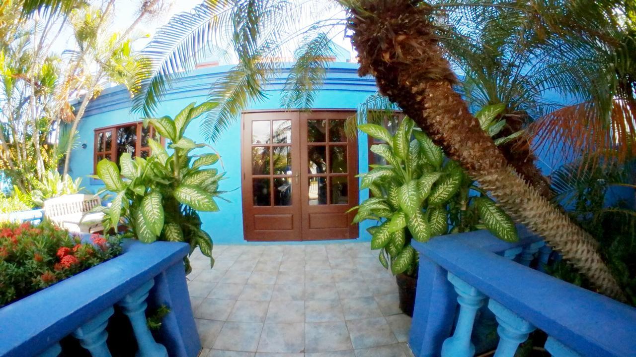 De Cuba Bed & Breakfast นอร์ท ภายนอก รูปภาพ
